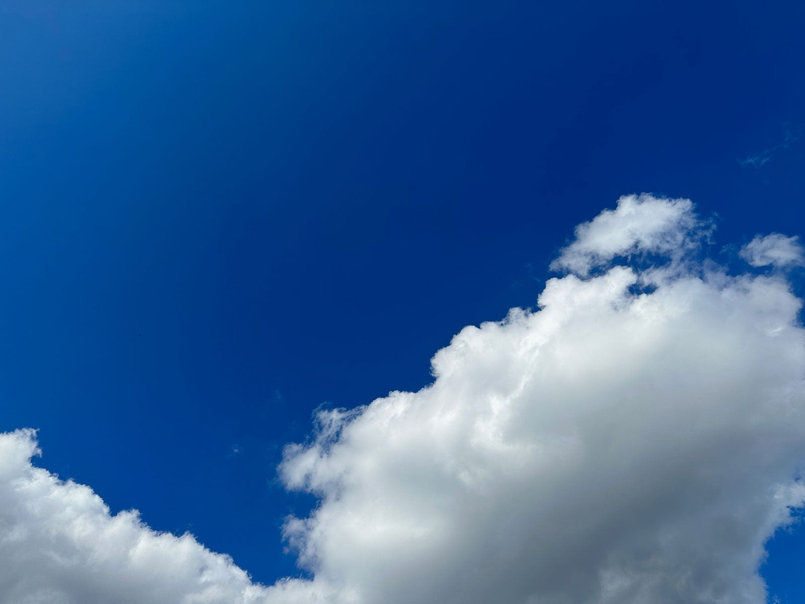 White fluffy clouds against a bright blue sky