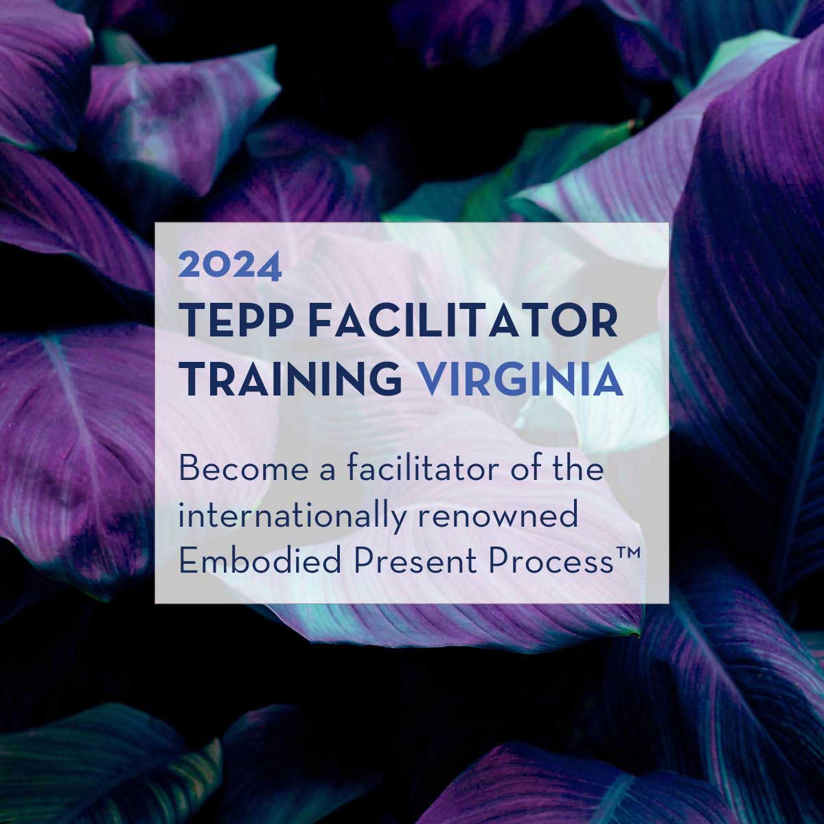 TEPP Facilitator Training (VA) Registration - The Embodied Present Process