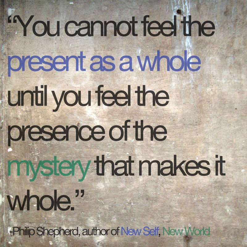 Mystery, Serendipity, and Re-enchantment - The Embodied Present Process