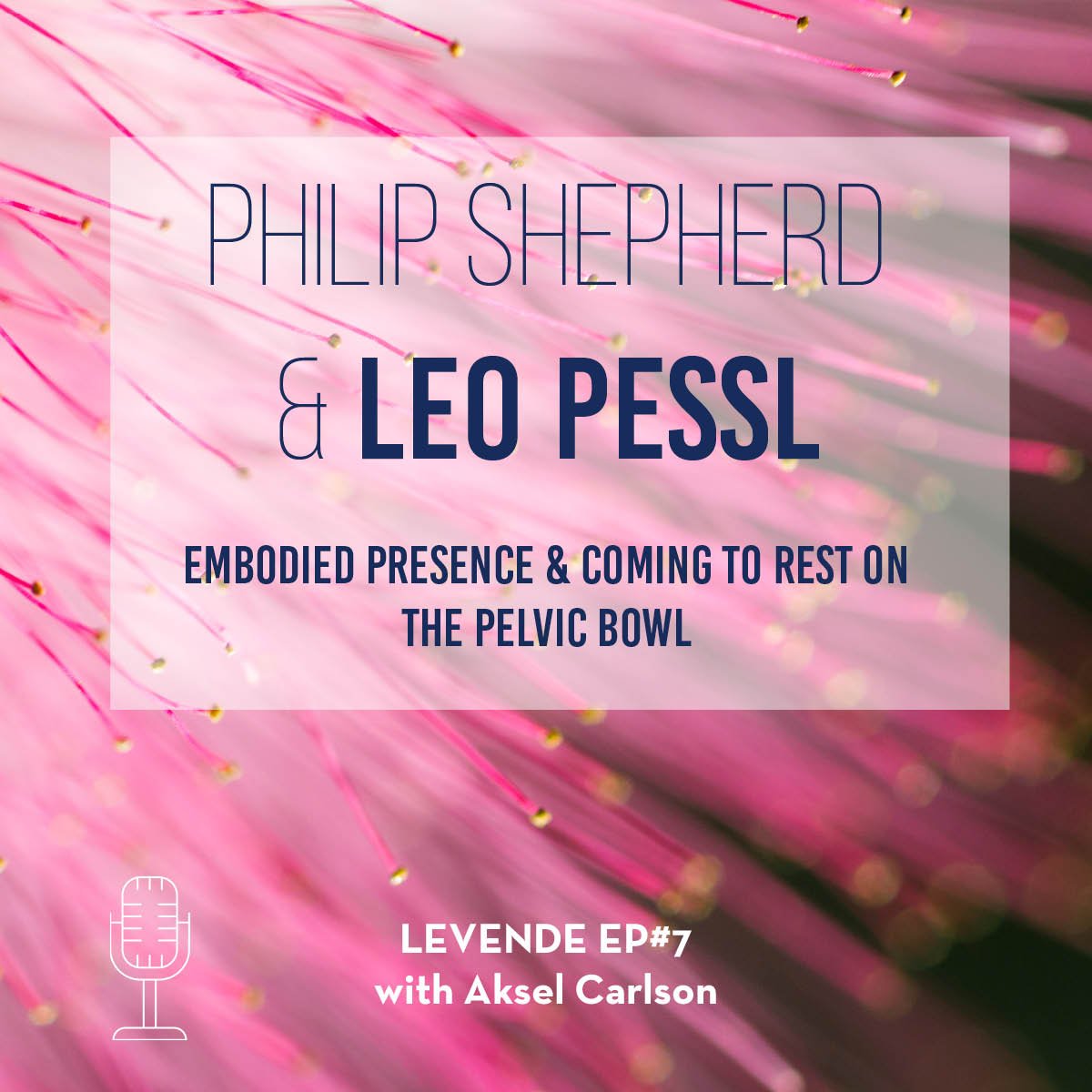 Philip Shepherd & Leo Pessl: Embodied Presence & Coming To Rest On The Pelvic Bowl - The Embodied Present Process