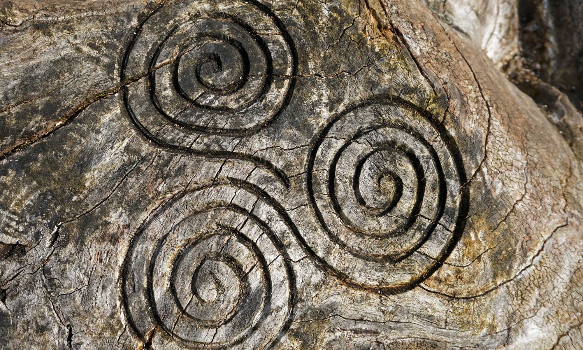 Spirit Matters Podcast - The Embodied Present Process