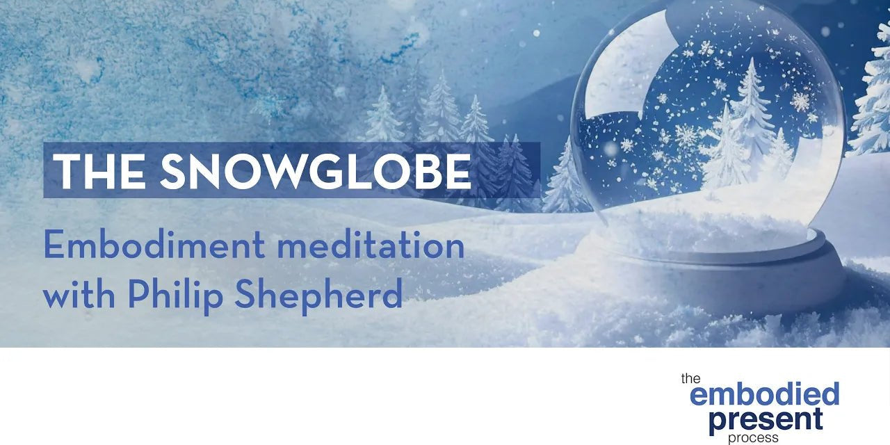The Snow Globe - Free Embodiment Practice with Philip Shepherd - The Embodied Present Process