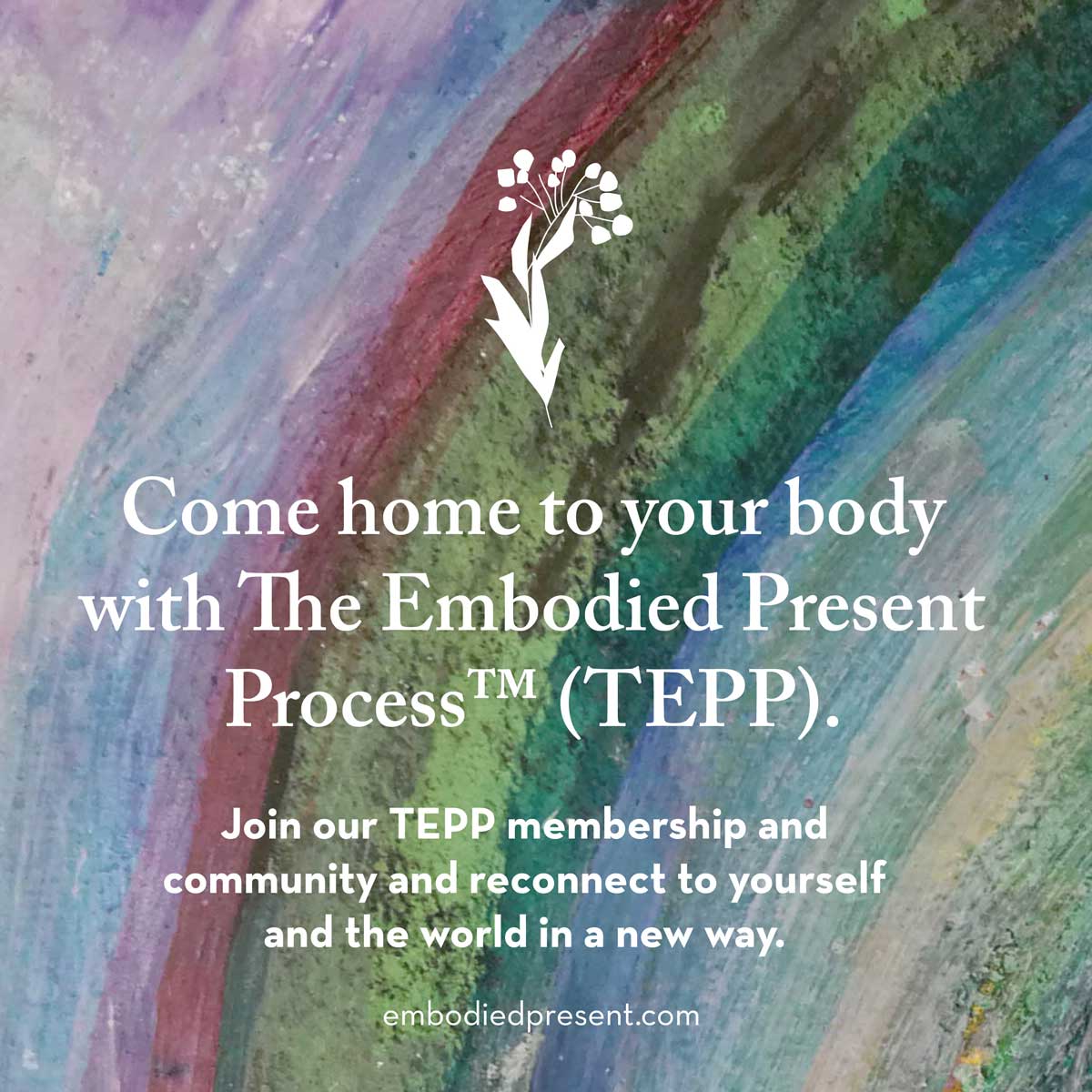 tepp membership graphic