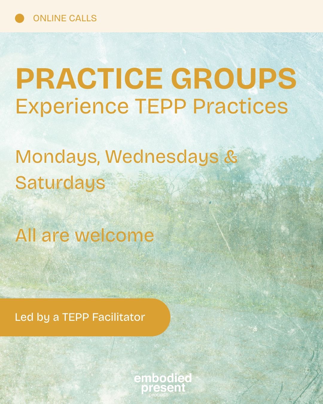 Free TEPP Practice Groups - The Embodied Present Process