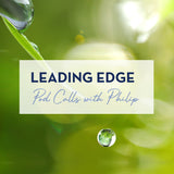 Leading Edge Pod with Philip - The Embodied Present Process