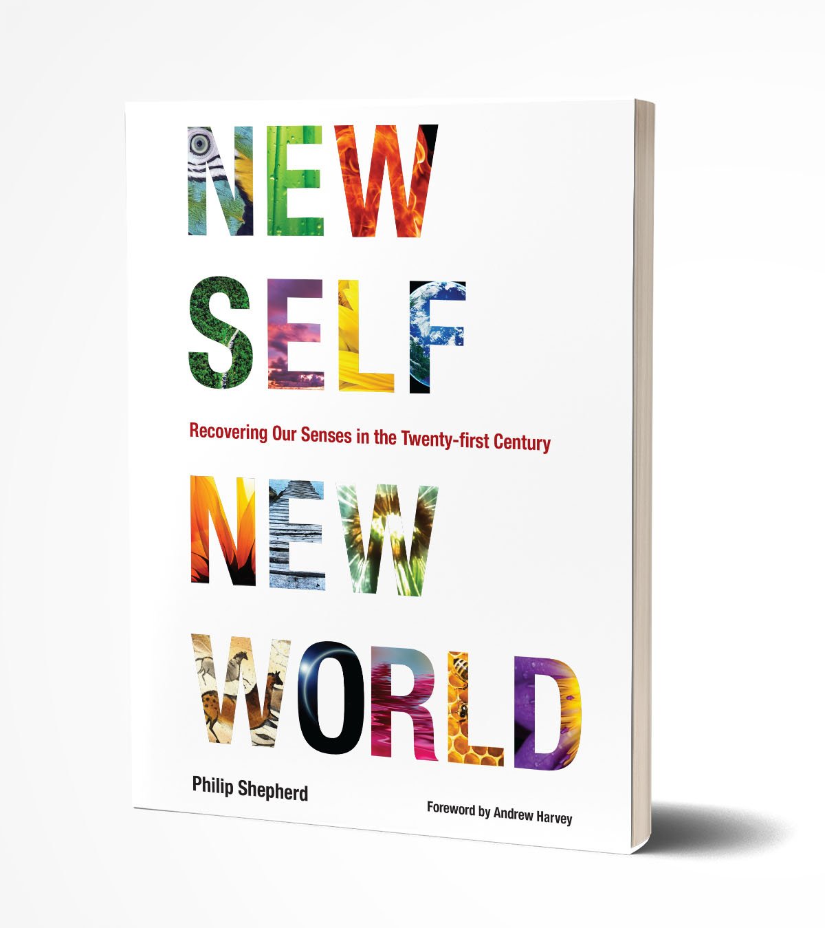 New Self New World - The Embodied Present Process