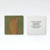 The Embodied Present in Process: deck of cards - The Embodied Present Process