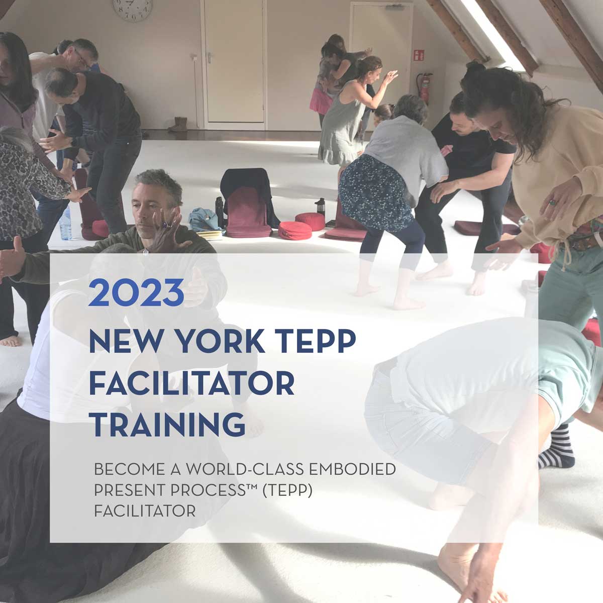 TEPP Facilitator Training NY